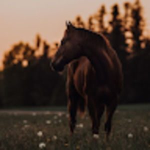 Meet your Posher, Lillian